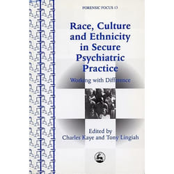 UBC Press Race, Culture and Ethnicity in Secure Psychiatric Practice book Paperback 286 pages
