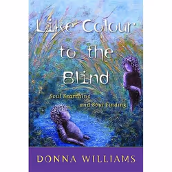 UBC Press Like Colour to the Blind, Paperback, 304 pages