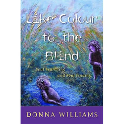 UBC Press Like Colour to the Blind book Paperback 304 pages