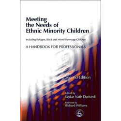 UBC Press Meeting the Needs of Ethnic Minority Children - Including Refugee, Black and Mixed Parentage Children book Paperback 336 pages