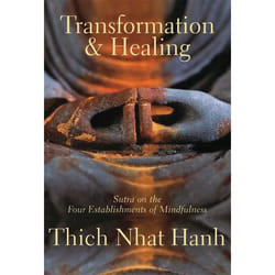 ISBN Transformation and Healing