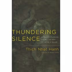 ISBN Thundering Silence, Paperback, 80 pages