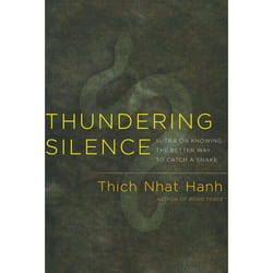 ISBN Thundering Silence