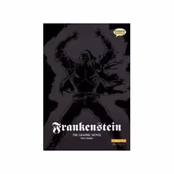 ISBN Frankenstein: Graphic Novel - Original Text, Comics & graphic novels, English