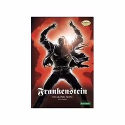 ISBN Frankenstein: Graphic Novel - Quick Text, Comics & graphic novels, English