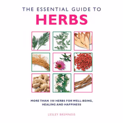 ISBN The Essential Guide to Herbs, Food & drink, English, Paperback, 244 pages
