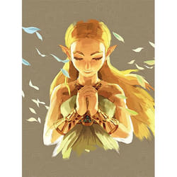 Piggyback The Legend Of Zelda: Breath Of The Wild book Game/toy instruction English Hardcover 516 pages