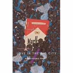 ISBN Love in the Big City, General novel, English, Paperback, 293 pages