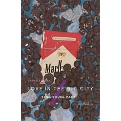 ISBN Love in the Big City book General novel English Paperback 293 pages