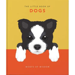 ISBN 9781911610953 book Hardcover 192 pages