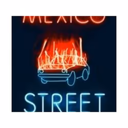 ISBN Mexico Street, General novel, English, Paperback, 276 pages