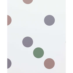 ISBN Bridget Riley: Recent Paintings 2014-2017 book History English Paperback 96 pages