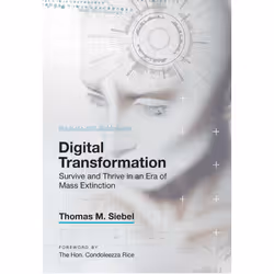 ISBN Digital Transformation, Society, English, Hardcover, 256 pages