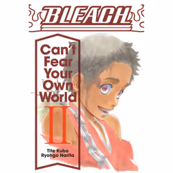 ISBN Bleach: Can't Fear Your Own World, Vol. 2, Literary fiction, English, Paperback, 480 pages