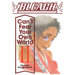 ISBN Bleach: Can't Fear Your Own World, Vol. 2 book Literary fiction English Paperback 480 pages