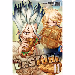 ISBN Dr. STONE, Vol. 11, Literary fiction, English, Paperback, 192 pages