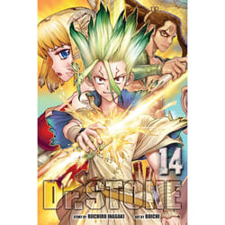 ISBN Dr. STONE, Vol. 14 book Literary fiction English Paperback 200 pages