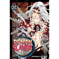 ISBN Demon Slayer: Kimetsu no Yaiba, Vol. 22 book Comics & graphic novels English Paperback 192 pages