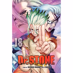 ISBN Dr. STONE, Vol. 18, Literary fiction, English, Paperback, 192 pages