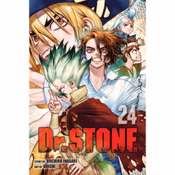ISBN Dr. STONE, Vol. 24, Literary fiction, English, Paperback, 200 pages