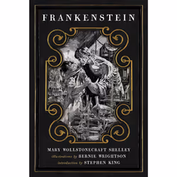 ISBN Frankenstein, Literary fiction, English, Paperback, 288 pages
