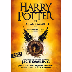 ISBN 9782075094382, French, 464 pages