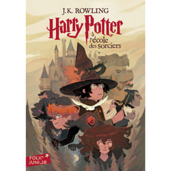 ISBN 9782075187541 book French 320 pages