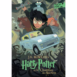 ISBN 9782075187596, French, 368 pages