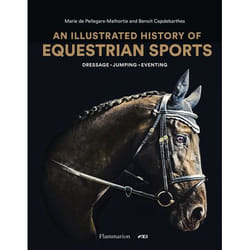 ISBN 9782080203915 book Hardcover 272 pages