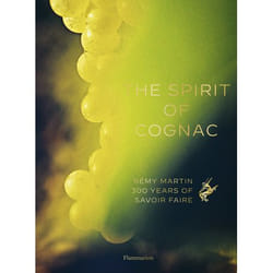 ISBN 9782080297099 book Hardcover 208 pages