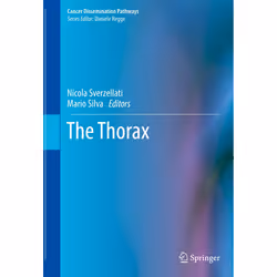 ISBN 9783030272326, English, Hardcover, 199 pages