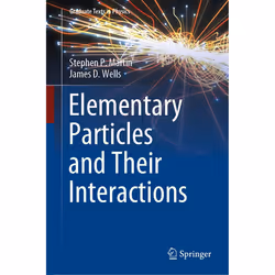 ISBN Elementary Particles and Their Interactions, English, Hardcover, 362 pages