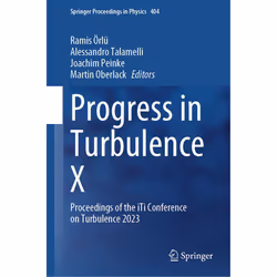 ISBN 9783031559235, English, Hardcover, 348 pages