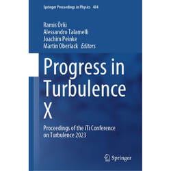 ISBN 9783031559235 book English Hardcover 348 pages