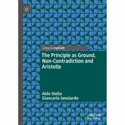 ISBN 9783031744136, English, Hardcover, 95 pages