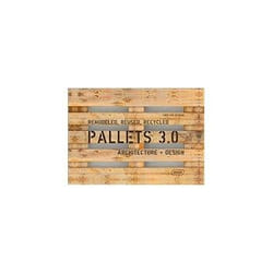 ISBN Pallets 3.0. Remodeled, Reused, Recycled: Architecture + Design book Educational English 304 pages