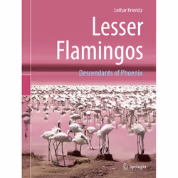 ISBN 9783662581629, English, Hardcover, 244 pages