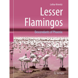 ISBN 9783662581629 book English Hardcover 244 pages