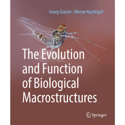 ISBN 9783662592908, English, Hardcover, 170 pages