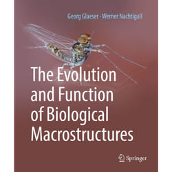 ISBN 9783662592908 book English Hardcover 170 pages