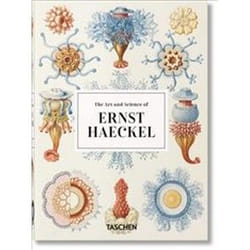ISBN Art Science of Ernst Haeckel - 40th Anniversary Edition book Art & design English Hardcover