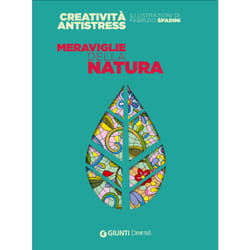 ISBN 9788844046569 book Italian Paperback 128 pages