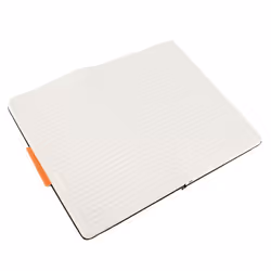 Moleskine Classic writing notebook A5 240 sheets Black