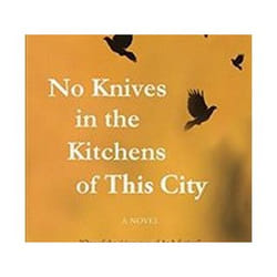 ISBN No Knives in the Kitchens of This City: A Novel (Hoopoe Fiction) book General novel English Paperback 256 pages