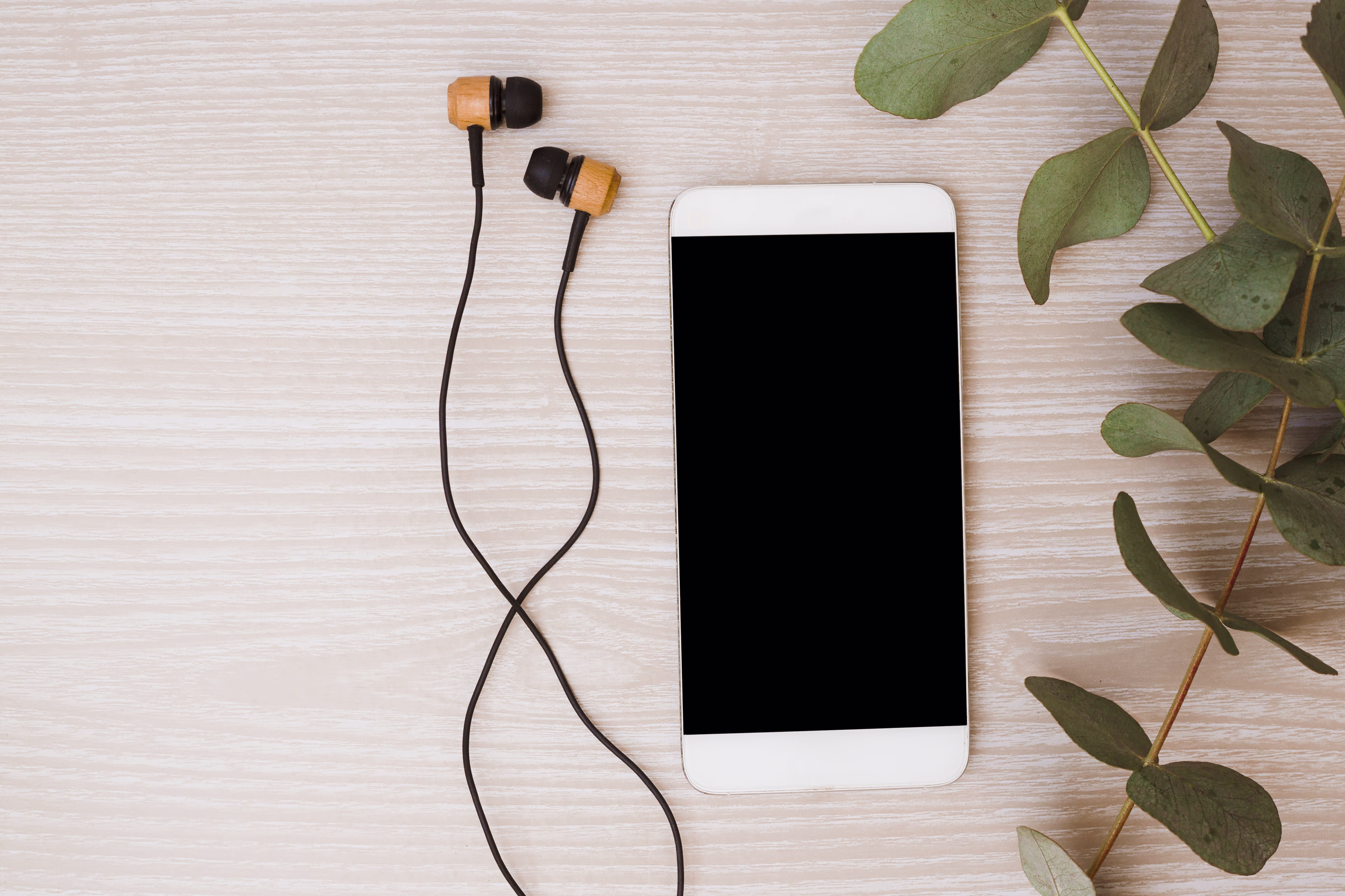 Telephony and Accessories